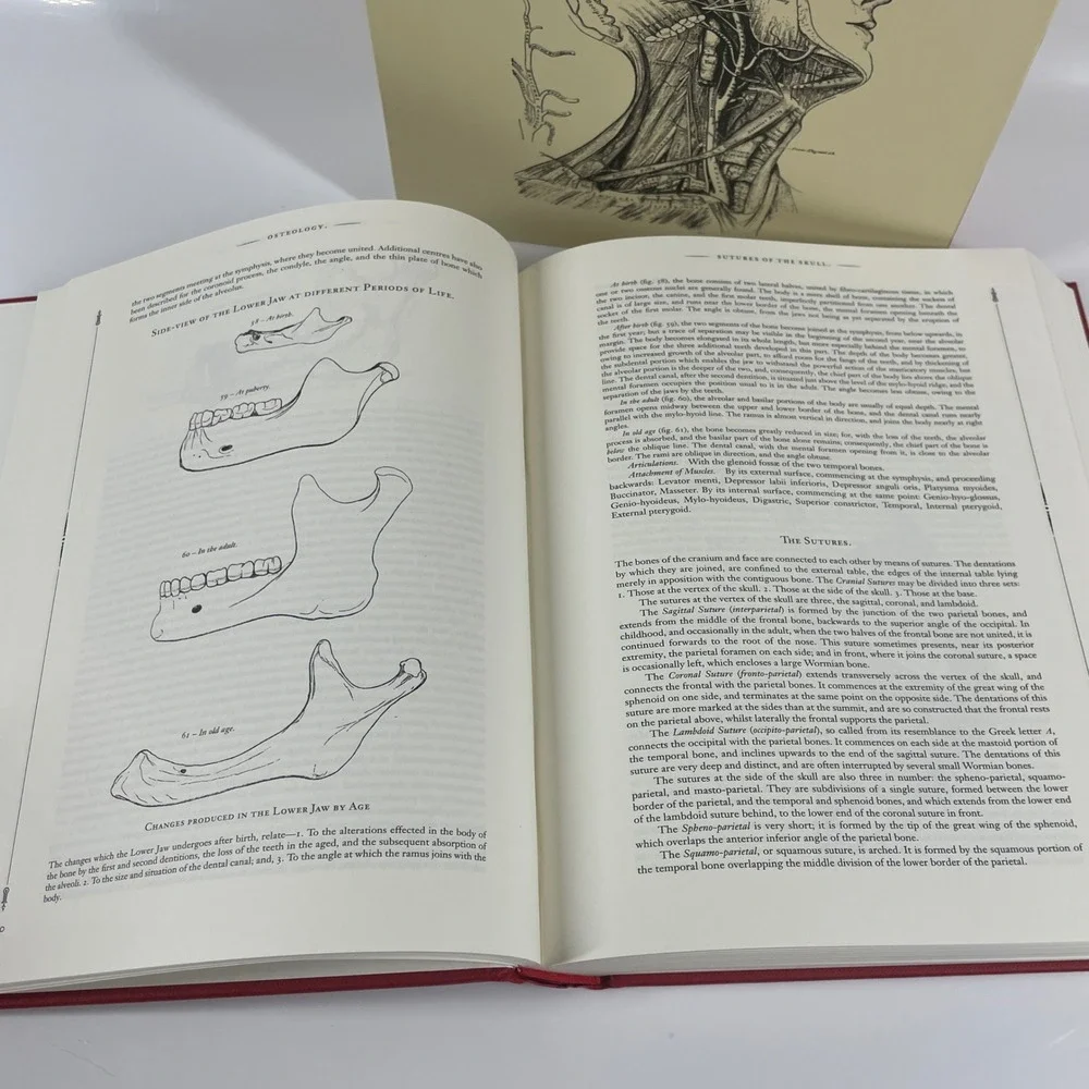 Grays Anatomy Classic 1860 Text Abridged Slipcase Arcturus 2019 Hardcover
